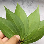 Personalised Leaf Engraved Photo with frame – Perfect Gift for Loved One